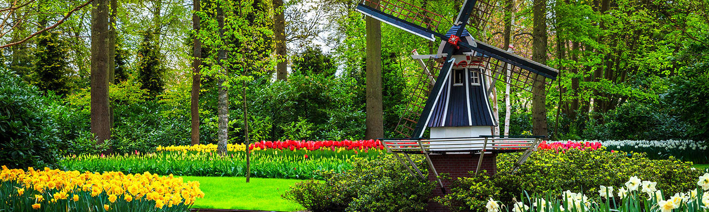 Flights to the Netherlands