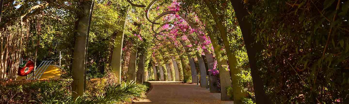Brisbane Arbor
