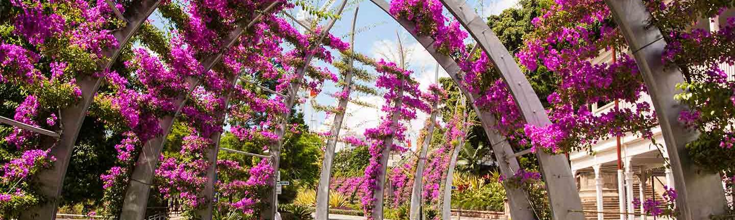 Things to Do on Brisbane South Bank