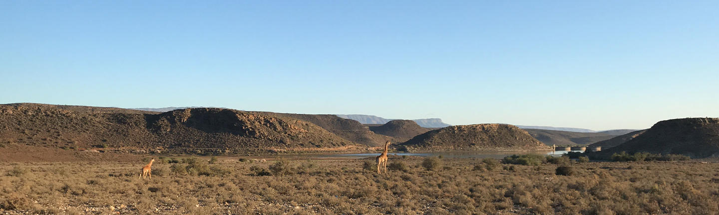 Sanbona South Africa