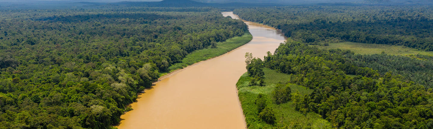 Kinabatangan River, Borneo
