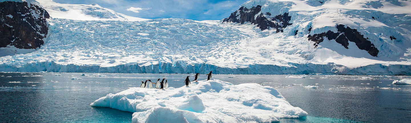 Antarctica in summer