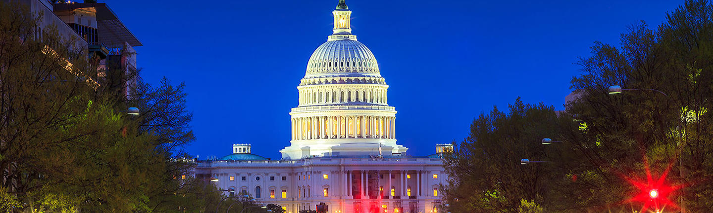 Flights to Washington DC