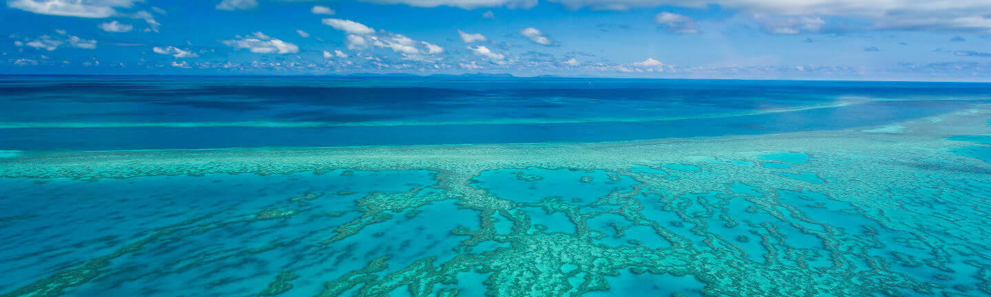Reasons_to_visit_the_great_barrier_reef
