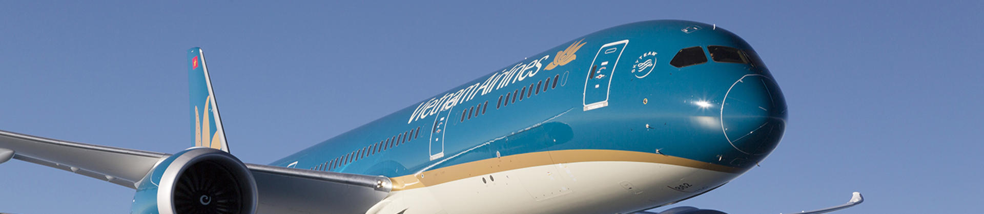 Vietnam Airlines B787